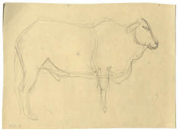 Visualizza l'immagine "FD D 125"